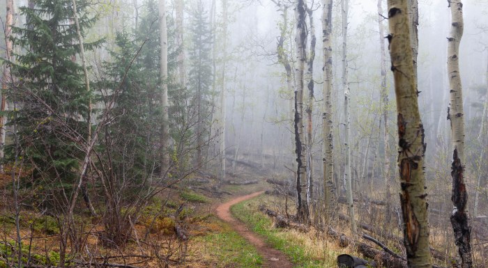 Hiking the Lost Creek Wilderness
