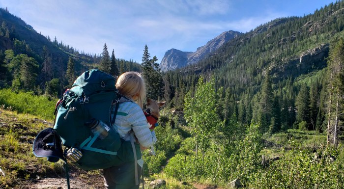 cascade Creek Indian Peaks Wilderness