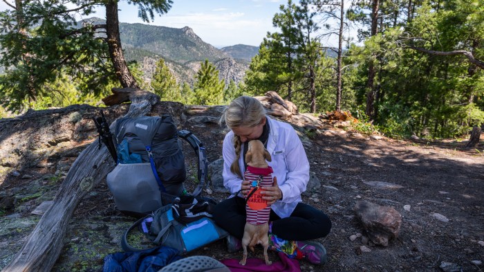 Colorado Trail Segment 3