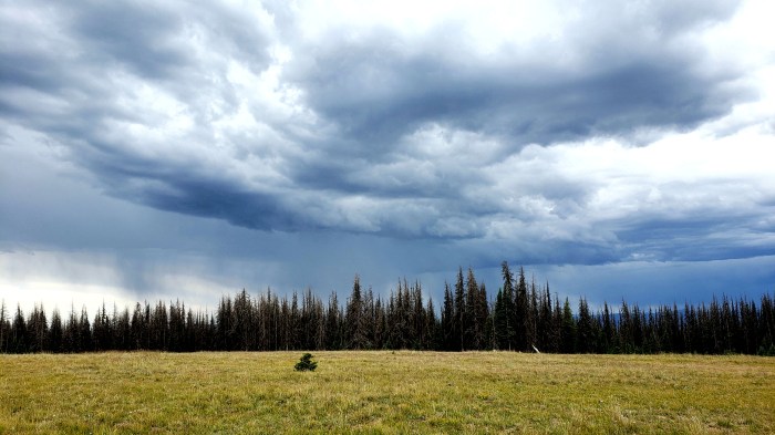 Colorado Trail Segment 17