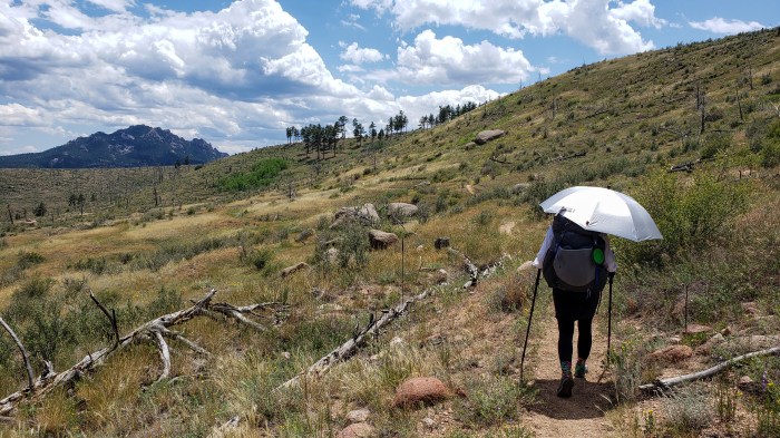 Colorado Trail Segment 2