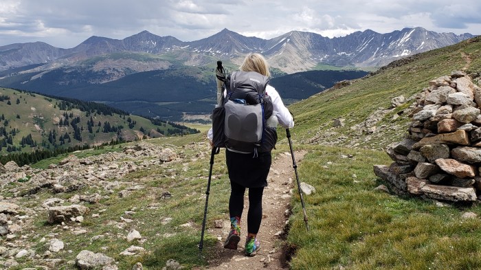 Colorado Trail Segment 8